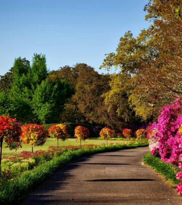 Ageratum: How to Grow and Care for Floss Flower for a Vibrant Summer Garden