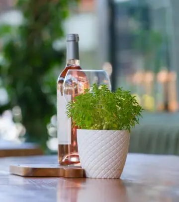 Transform balcony spaces with vibrant blooms using expert tips for thriving container gardens.