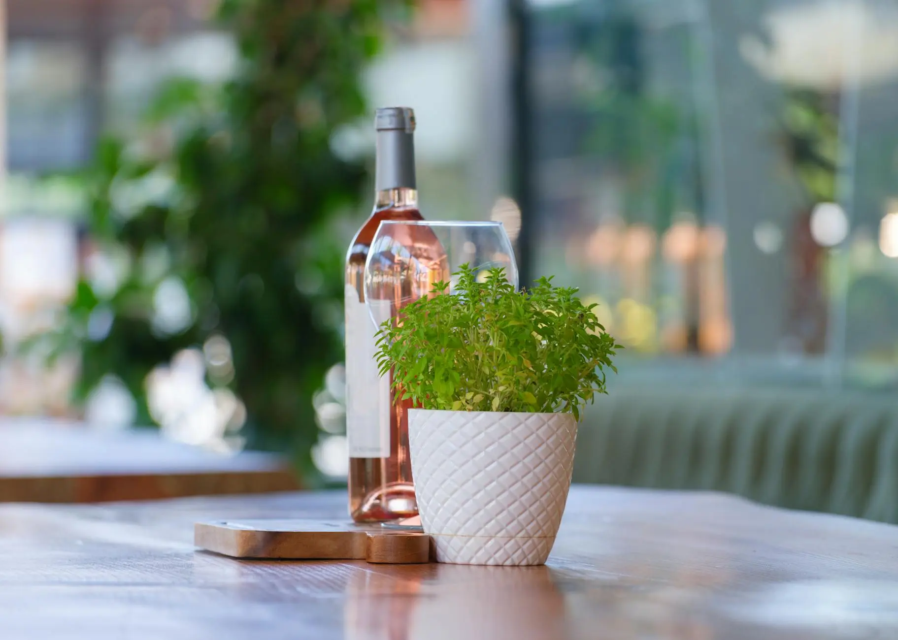 Growing Roses In Containers: Essential Guide To Planting & Care Transform balcony spaces with vibrant blooms using expert tips for thriving container gardens.