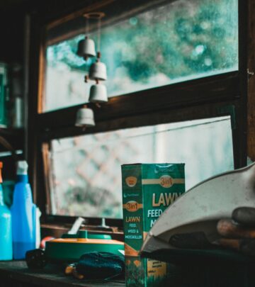 12 Essential Garden Tools for the Beginner