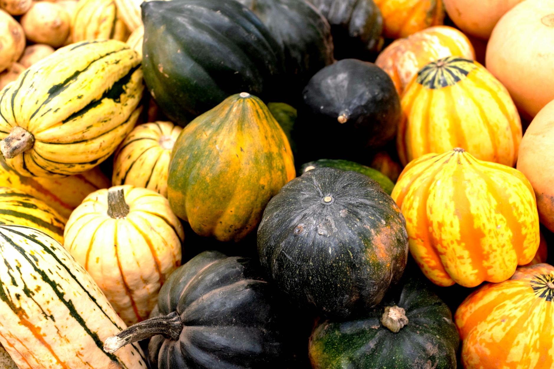 Delicious Baked Acorn Squash with Brown Sugar and Butter Delicious Baked Acorn Squash with Brown Sugar and Butter_image