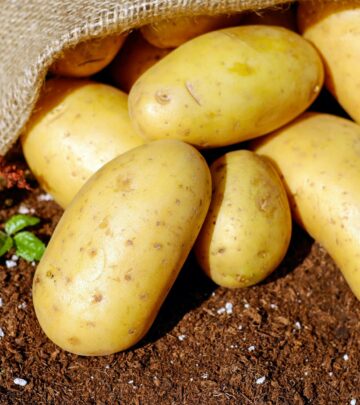 Amazing Whipped Potatoes: The Ultimate Guide to Rich, Fluffy Perfection