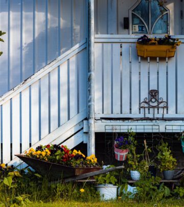 How to Prune Petunias for Lush Blooms All Season