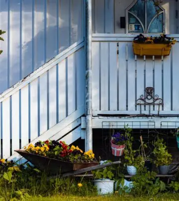 Boost vibrant garden beauty by mastering flower care techniques for endless spring colors!