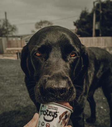 Can Dogs Eat Yogurt? A Comprehensive Guide for Pet Owners