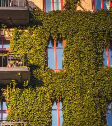 The Complete Guide to Vertical Gardening