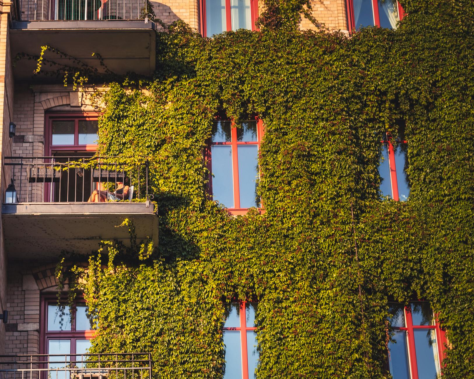 The Complete Guide to Vertical Gardening The Complete Guide to Vertical Gardening_image