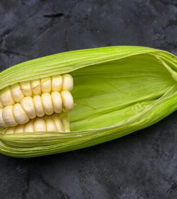 Awesome and Easy Creamy Corn Casserole: The Ultimate Classic Side Dish