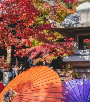 Japanese Maple Trees: A Complete Guide to Growing & Care