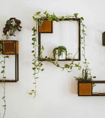 Pothos Plants: The Ultimate Care Guide for This Easy Houseplant