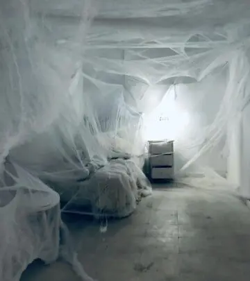 Learn to identify common spiders in your home and understand which ones pose actual threats