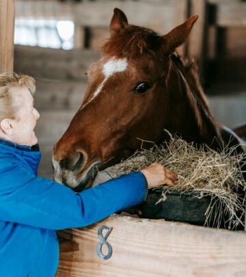 What Horses Eat to Stay Healthy: Complete Guide to Equine Nutrition