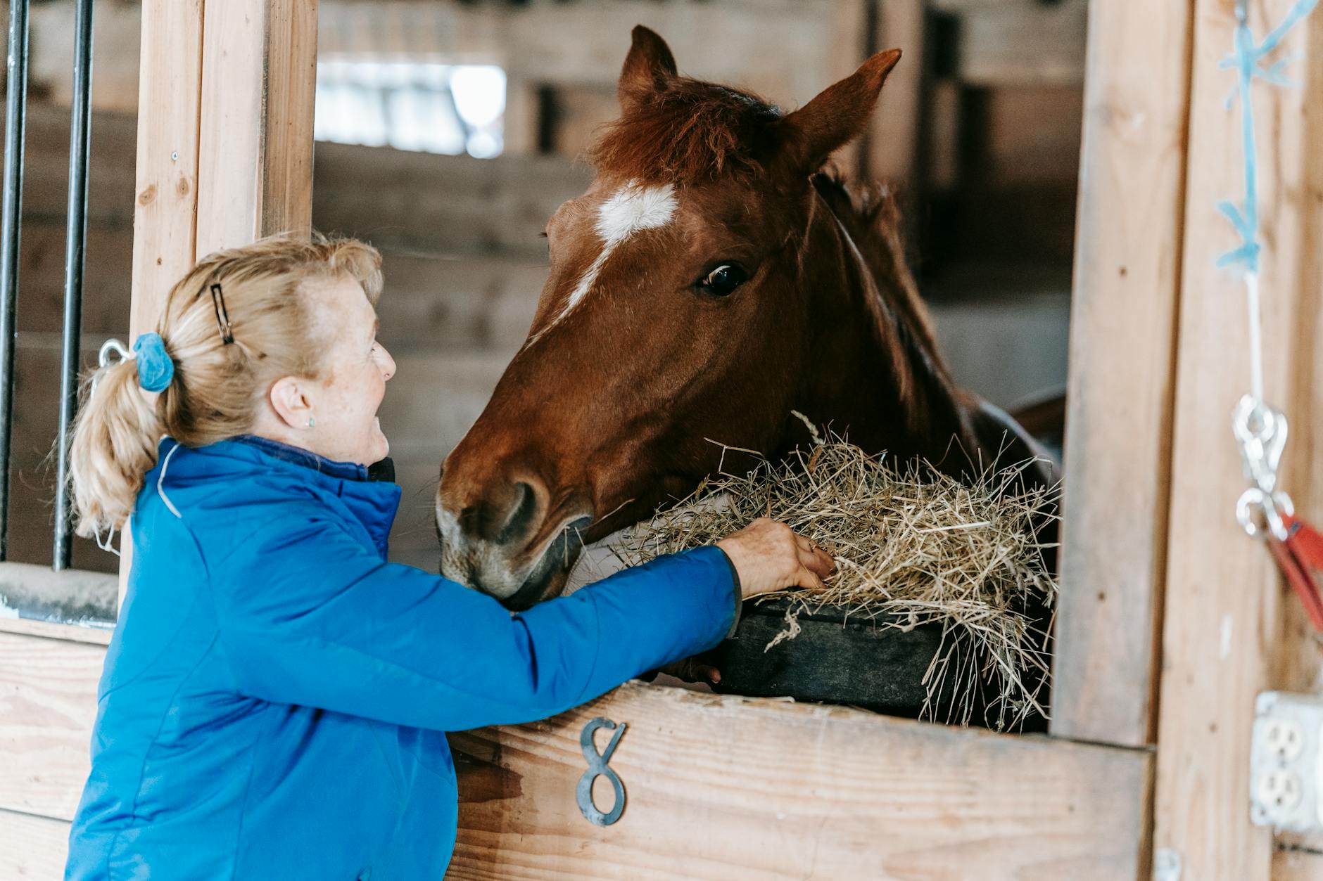 What Horses Eat to Stay Healthy: Complete Guide to Equine Nutrition Unlock the essentials of equine nutrition: from pasture grass to supplements, keep your horse thriving year-round.