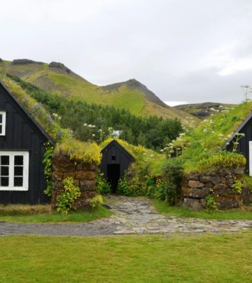 Green Roofs: Sustainable Solutions for Urban Environments
