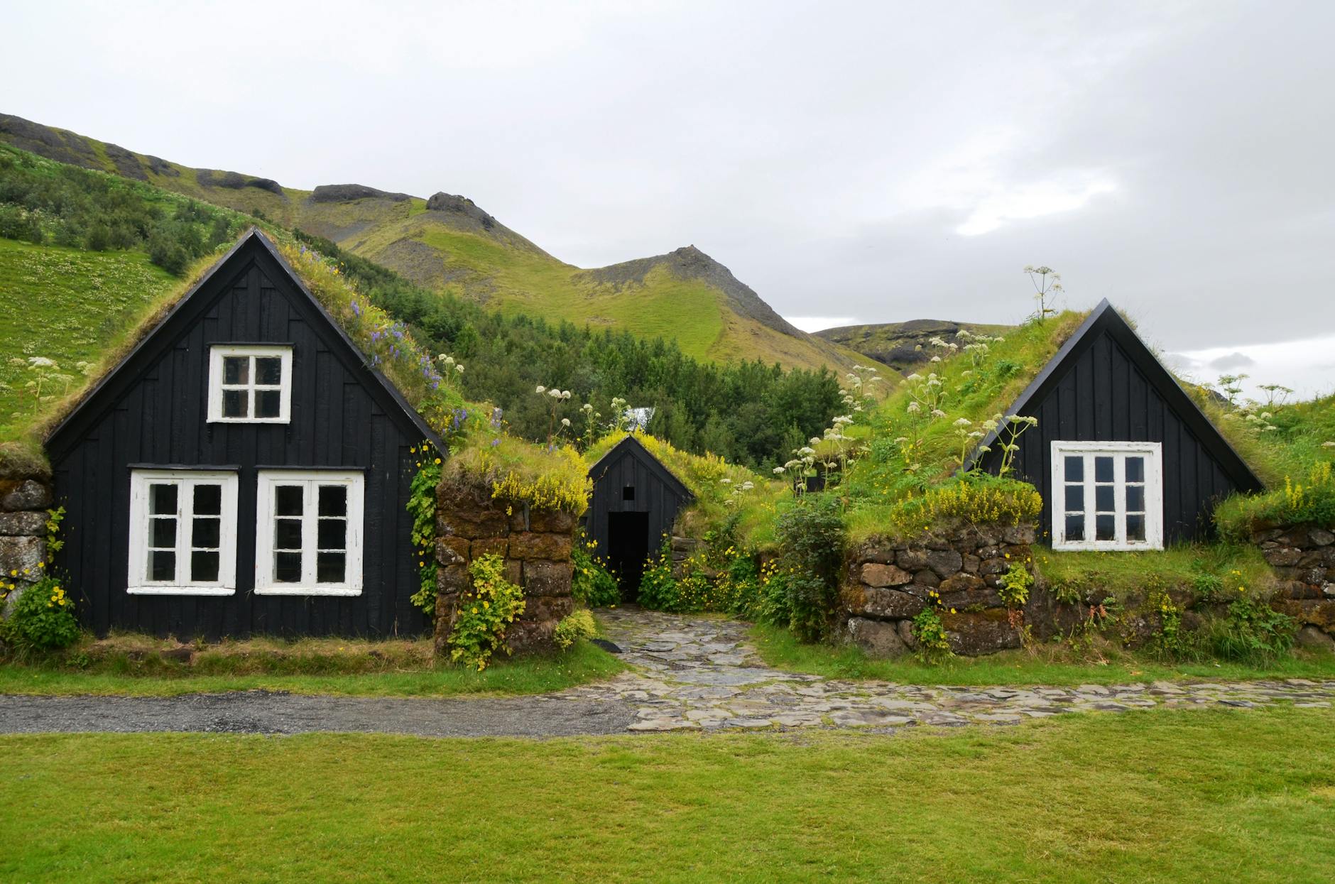 Green Roofs: Sustainable Solutions for Urban Environments Transform your rooftop into a vibrant ecosystem that benefits both your home and the environment