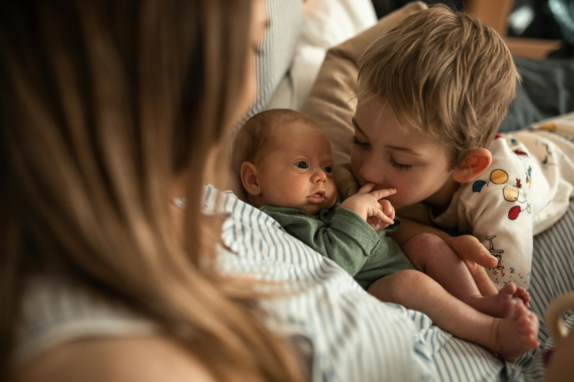 What to Do When Your Hamster Has Babies: A Complete Guide Essential care tips for hamster mothers and their newborn pups to ensure healthy development