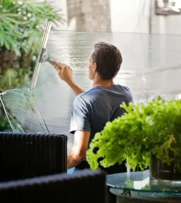 Master the art of achieving streak-free, crystal-clear windows with professional techniques and tools