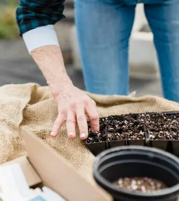 Transform your garden with proper seed sowing techniques for healthier plants and abundant harvests
