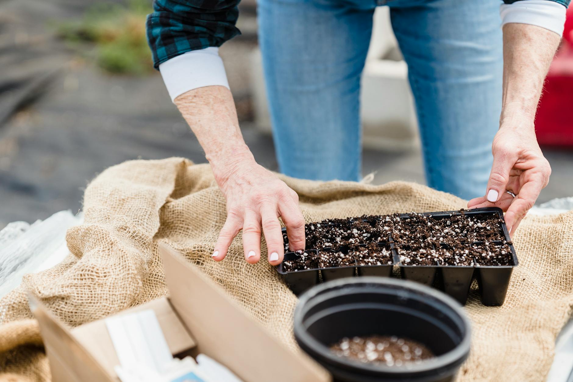 Complete Guide to Sowing Seeds: From Preparation to Germination Transform your garden with proper seed sowing techniques for healthier plants and abundant harvests