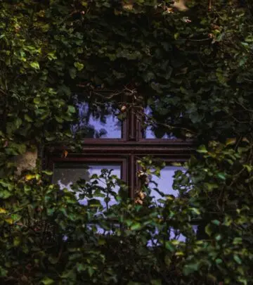 Restore your windows with expert glazing techniques for energy efficiency, durability, and timeless charm.