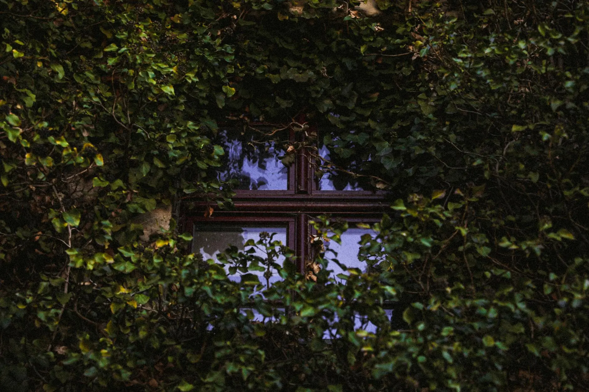 How to Glaze a Single Pane Window: Step-by-Step Guide Restore your windows with expert glazing techniques for energy efficiency, durability, and timeless charm.