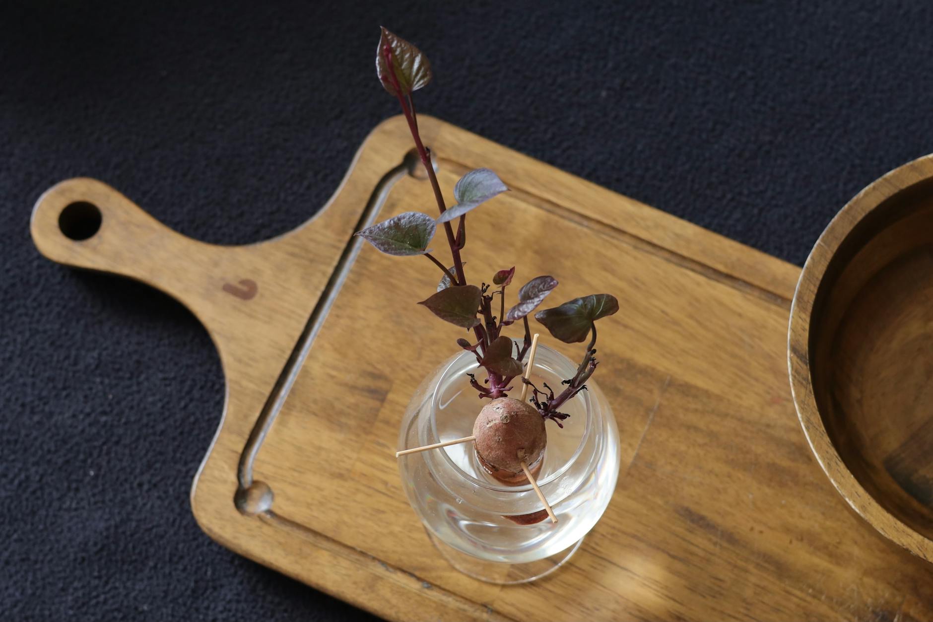 Sweet Potato Vine: A Complete Guide to Planting, Caring & Growing Discover everything you need to know about sweet potato vine—from planting and care to design ideas and FAQs—in this comprehensive guide.