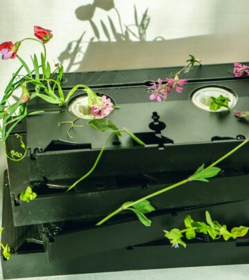 Morning Glory Vines: Planting, Care, and Growing Guide