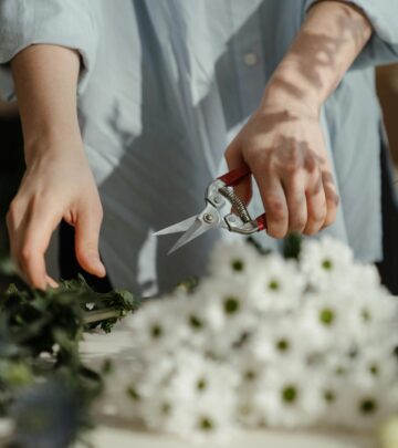 Shrub Pruning Dos and Don’ts: The Ultimate Guide for Healthy, Beautiful Plants