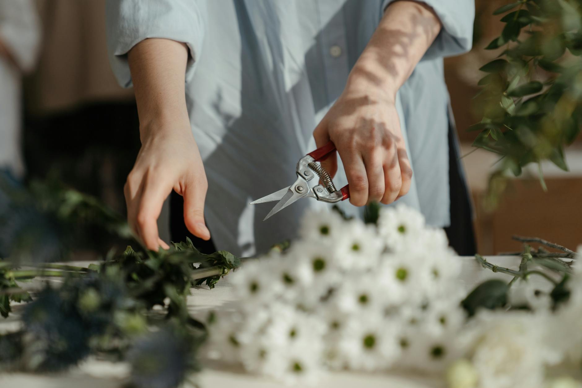 Shrub Pruning Dos and Don’ts: The Ultimate Guide for Healthy, Beautiful Plants Master the art of shrub pruning with expert tips, timeless techniques, and seasonal advice for healthier, better-looking landscapes.