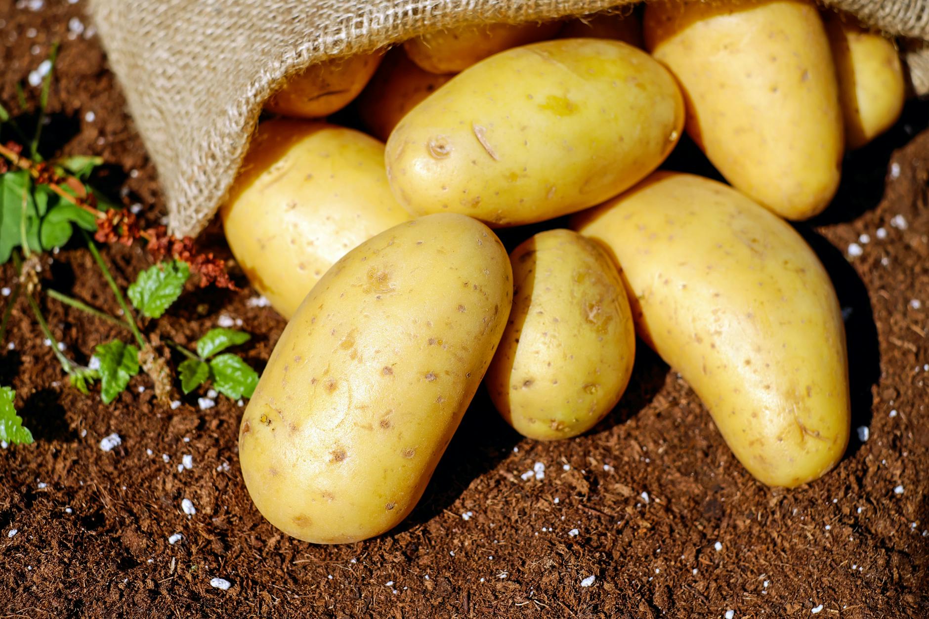 Easy Air Fryer Baked Potatoes: Crispy Perfection Every Time Discover the secret to perfectly crisp and fluffy baked potatoes using your air fryer, complemented with expert tips, topping ideas, and FAQs.