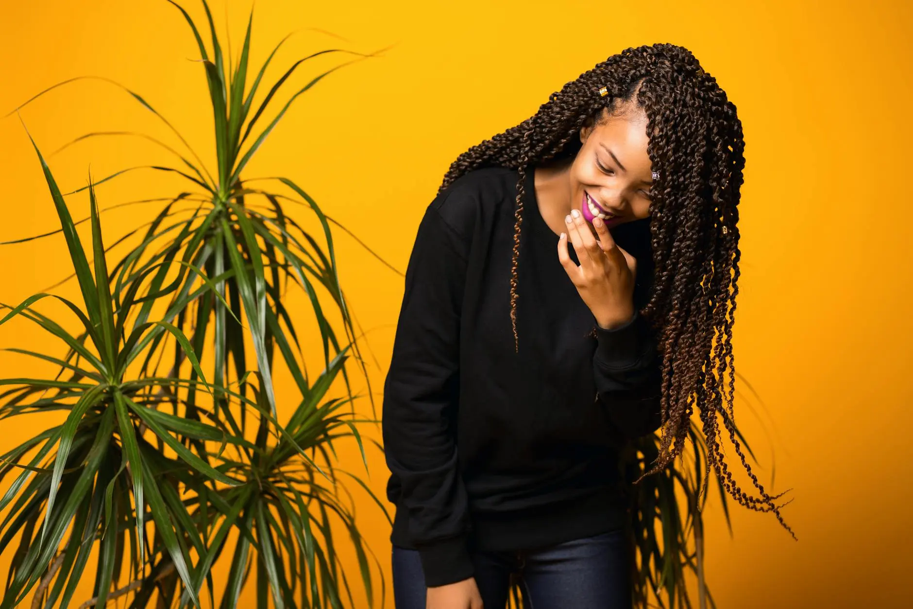 Dracaena Plant Care: Expert Tips For Beautiful, Healthy Growth Discover how to cultivate these versatile, air-purifying houseplants with minimal effort for maximum impact