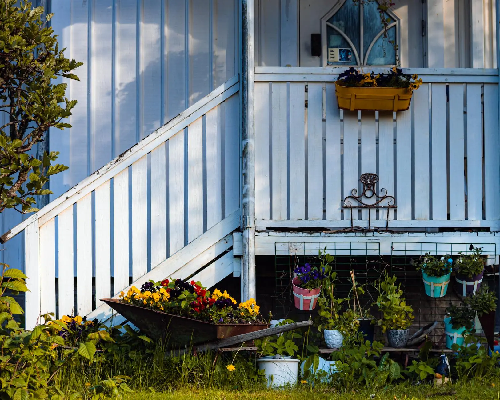 Geraniums: Versatile Beauties for Every Garden Discover the beauty and versatility of geraniums for blooms, fragrance, and easy care in any garden setting.
