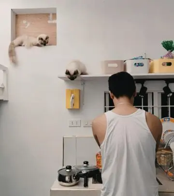 How Much Do Siamese Cats Cost? Price Guide & Buying Tips
