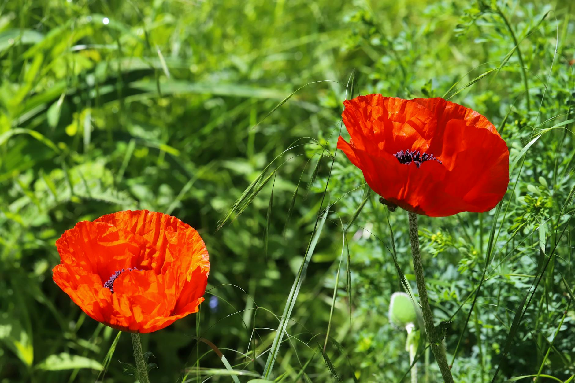 75 Best Spring Quotes to Welcome the Season of Renewal Celebrate the joy of spring with these beautiful quotes about nature's rebirth and renewal