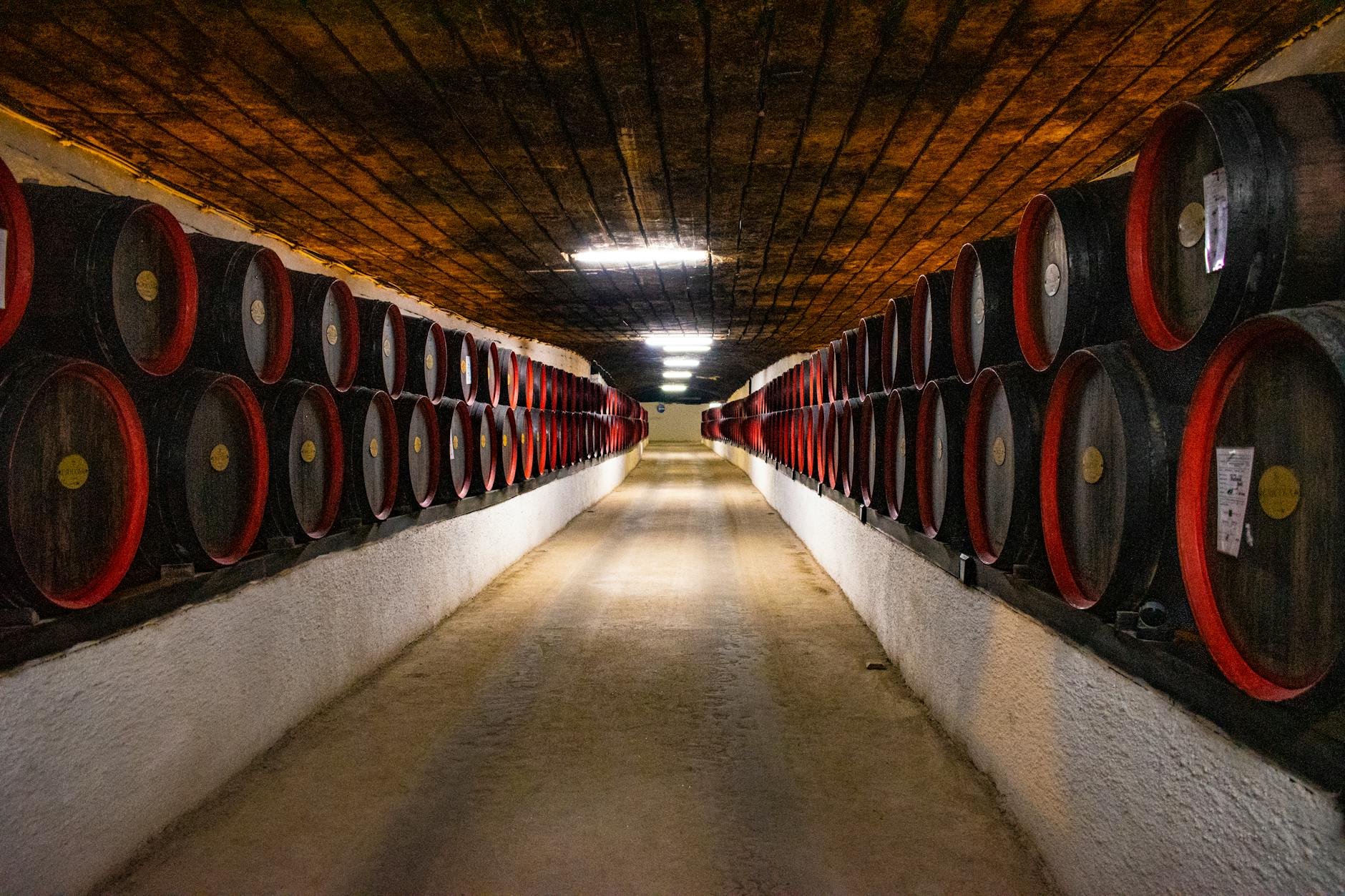 Read This Before You Finish Your Basement Transform your basement into a cozy living space with planning tips, moisture control advice, and design strategies for lasting results.