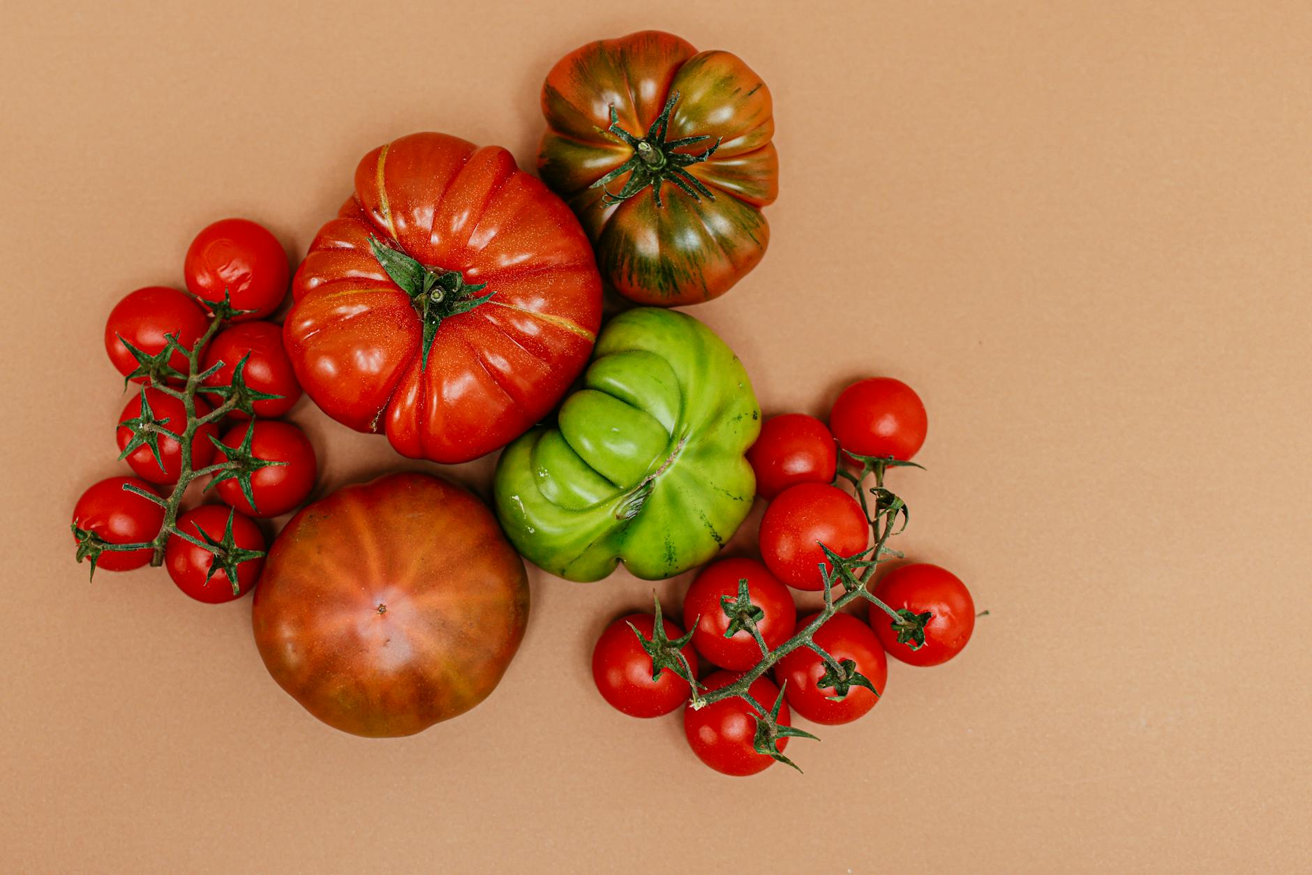 Best Southern Fried Green Tomatoes: A Classic Recipe Transform unripe tomatoes into a crispy, golden Southern delicacy with this time-tested method