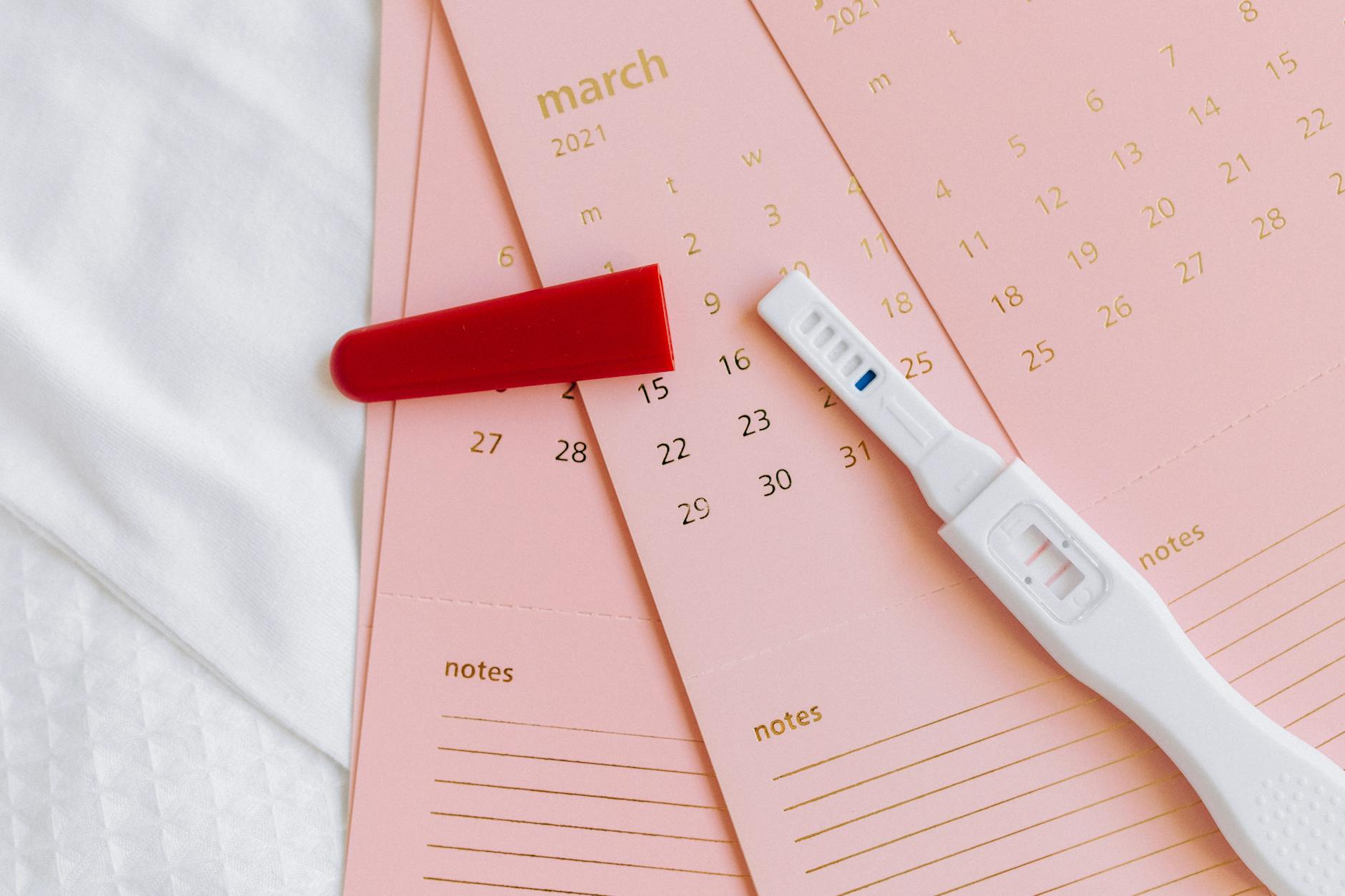 March 2025 Holidays and Observances: A Complete Guide Discover all the special days, celebrations, and observances that make March 2025 a month filled with meaningful moments