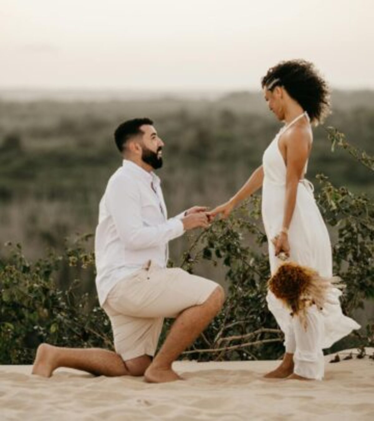 Discover powerful words of appreciation that will transform your perspective and bring joy to everyday moments