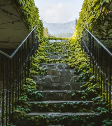 Garden Pathways: Design Inspiration, Materials, and Tips