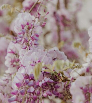 The Complete Guide to Wisteria Types and Cultivation