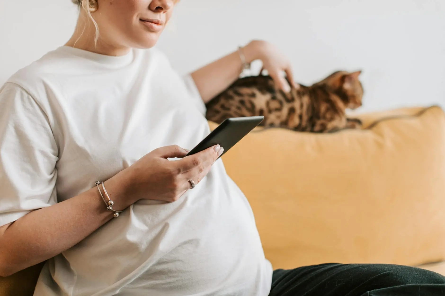Orange Bengal Cat Breed: Guide To Care And Wild Beauty Discover the majestic Orange Bengal cat - a wild-looking feline with a vibrant personality