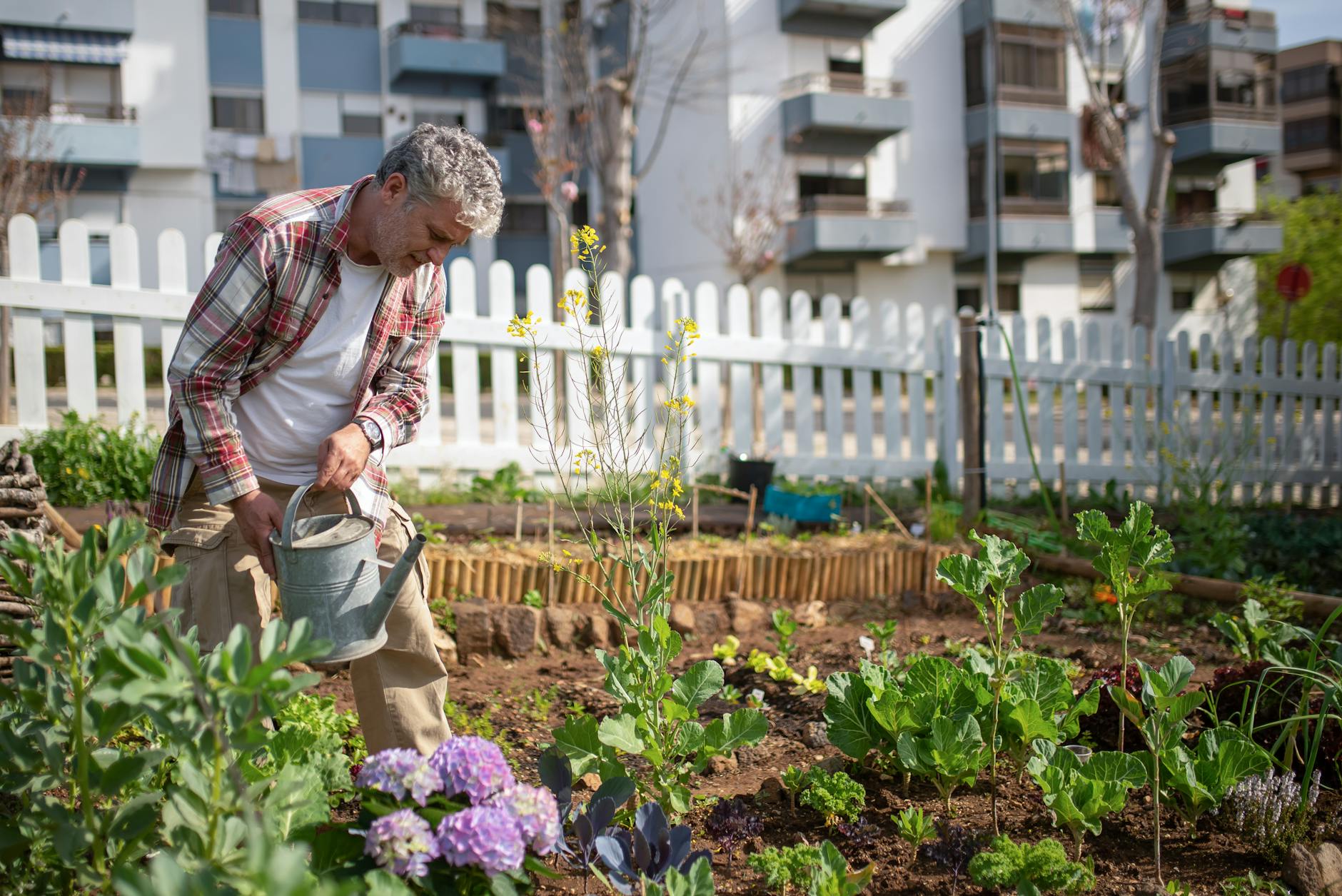 Strategic garden pairings improve head growth, deter pests, and boost soil vitality.