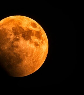 What Is a Blood Moon? The Science and Wonder Behind the Red Moon