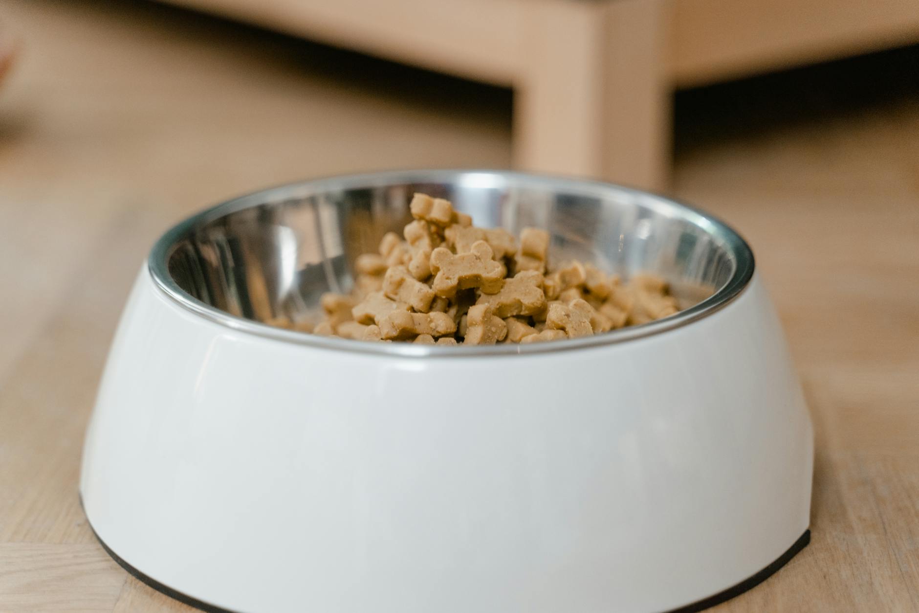 Pedialyte for Dogs: Safety, Risks, and Alternatives Learn the facts about using Pedialyte for dogs, including safety, potential risks, and better alternatives for canine hydration.