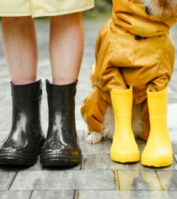 Why Does My Dog Lick My Feet? Understanding Dog Licking Behavior