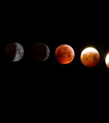 The Ultimate Guide to Lunar Eclipses: How, When & Where to Watch
