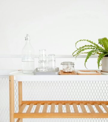 21 Beautiful Ferns to Grow Indoors as Houseplants
