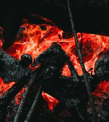 25 Phoenix Quotes: Inspiration to Rise from the Ashes and Rebuild