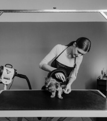 Can You Use Human Shampoo on Dogs? Understanding Safe Bathing Practices
