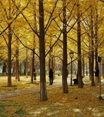Ginkgo Trees: Ancient Wonders for Modern Gardens